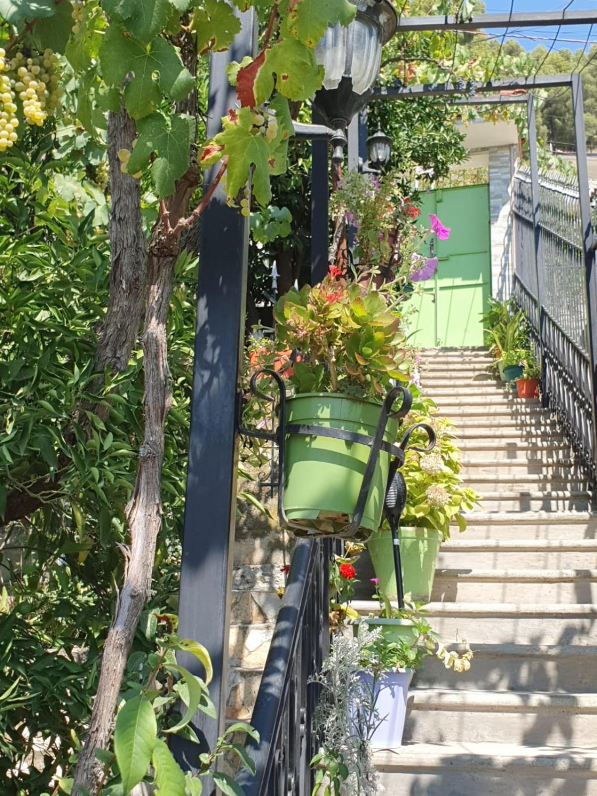 Sara Guesthouse 베라트 외부 사진