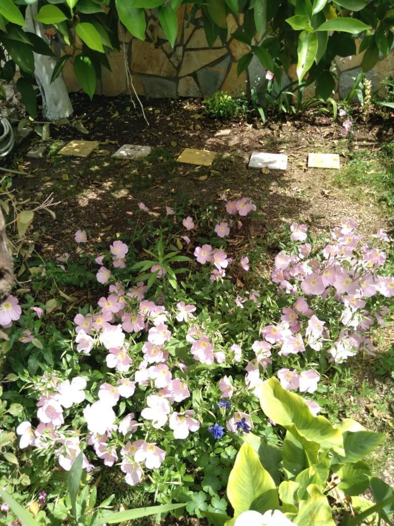 Sara Guesthouse 베라트 외부 사진
